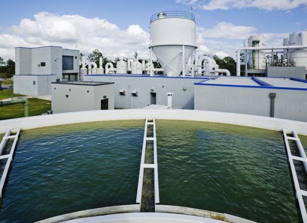 What Do They Remove from Water