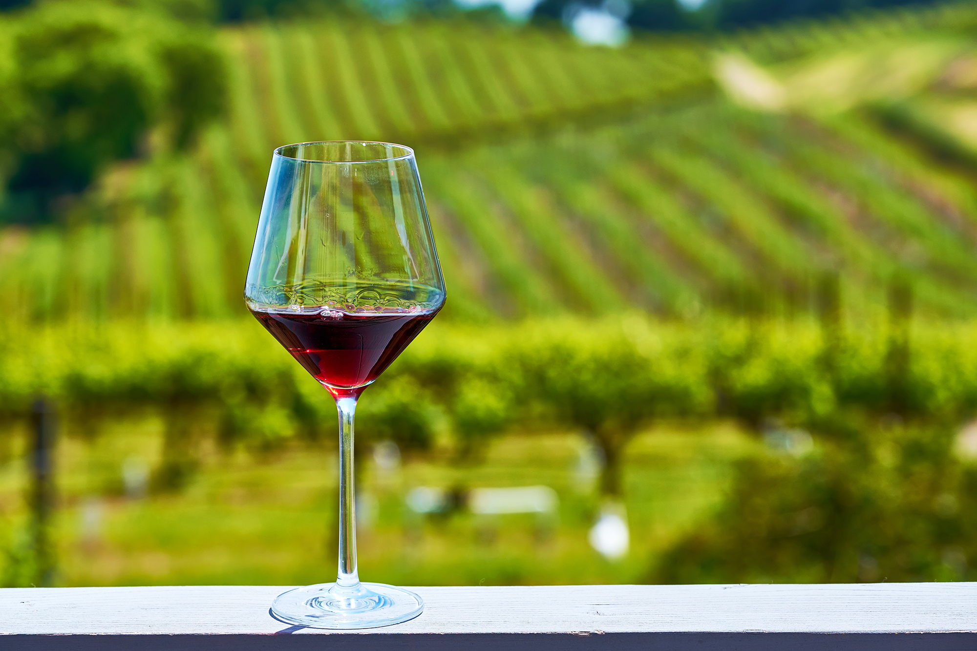 The ways to filter wine