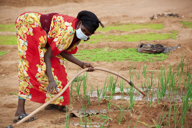 The water crisis we are facing