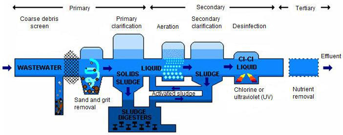 What is biological wastewater treatment