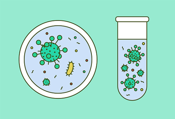 difference between nominal and absolute