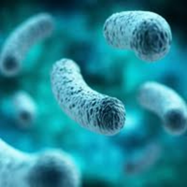 Cooling water may contain organic or inorganic solid pollutants