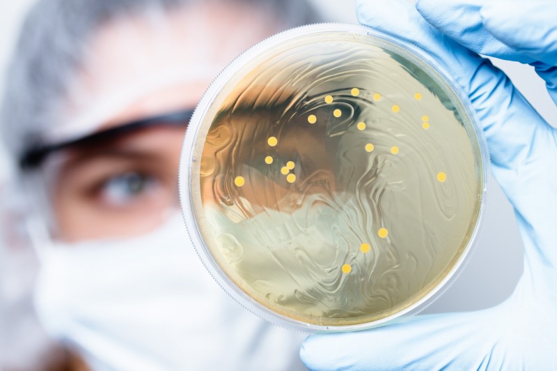 bacteria in water can contaminate food and beverages during production processes