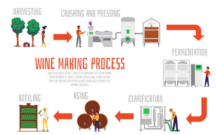 filtration in the winemaking process