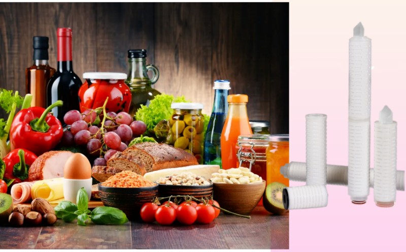 Pleated Membrane Filtration in food and beverage