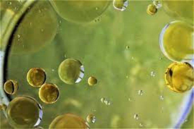 coalescing-filter is to facilitate the process of coalescence