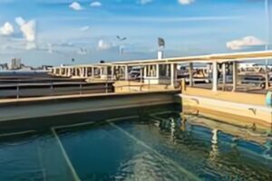 Bag Filter vs Cartridge Filter in Water Treatment